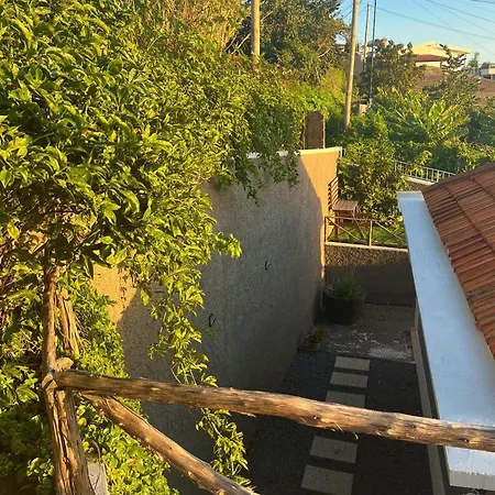 Tatil Evi Above - A Hillside Funchal